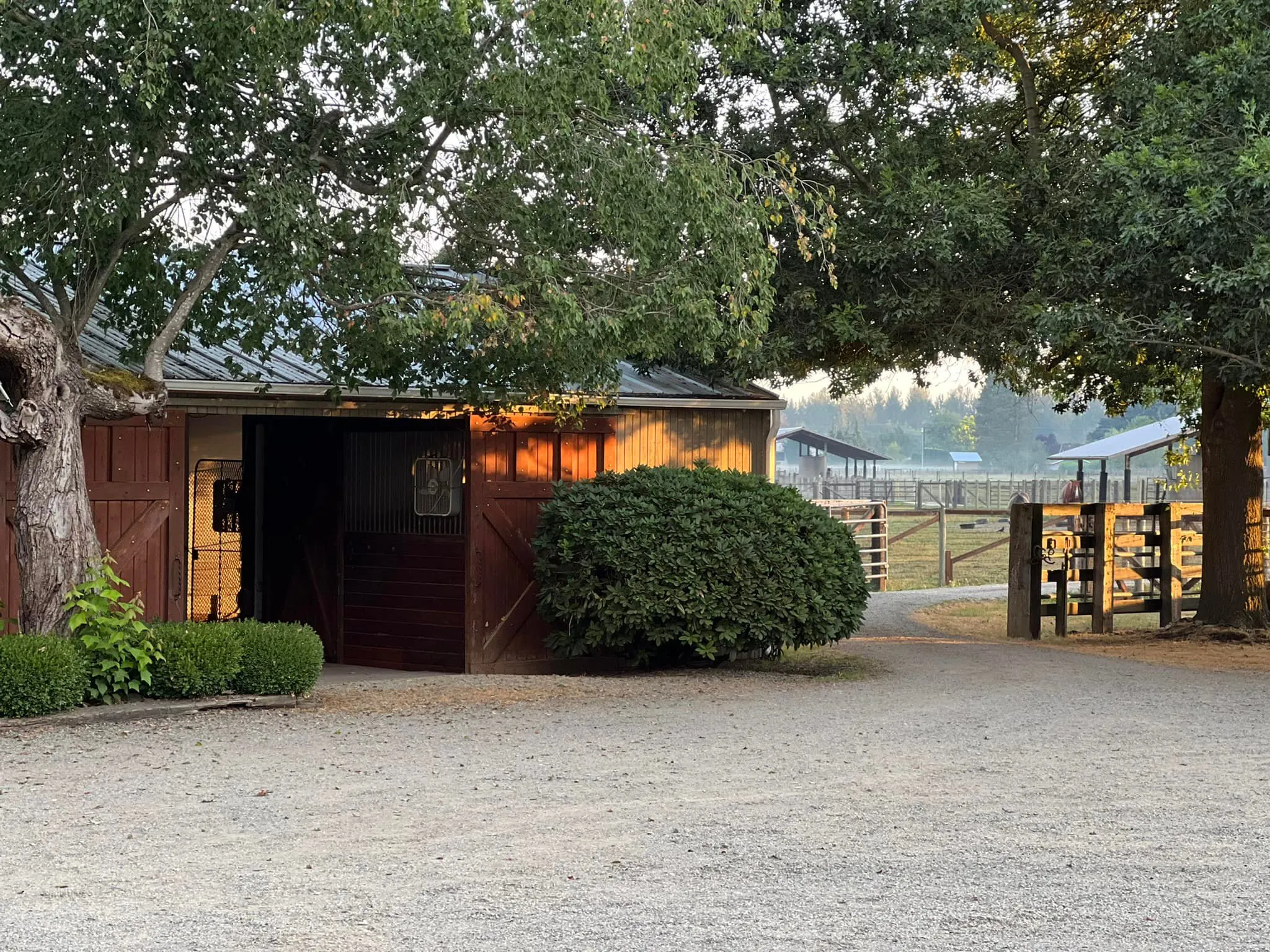 griffin-place-barn Griffin Place Sale Consignment at Emerald Downs, Auburn, WA
